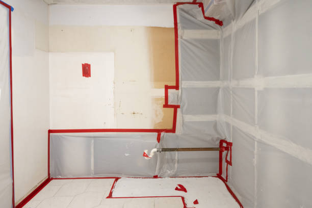 Best Asbestos and Lead Testing During Mold Inspection  in Montverde, FL