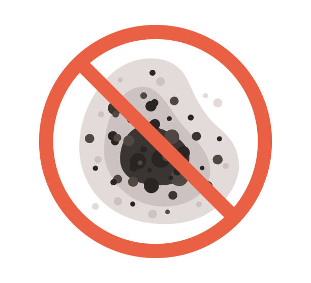 Best Mold Odor Removal Services  in Montverde, FL