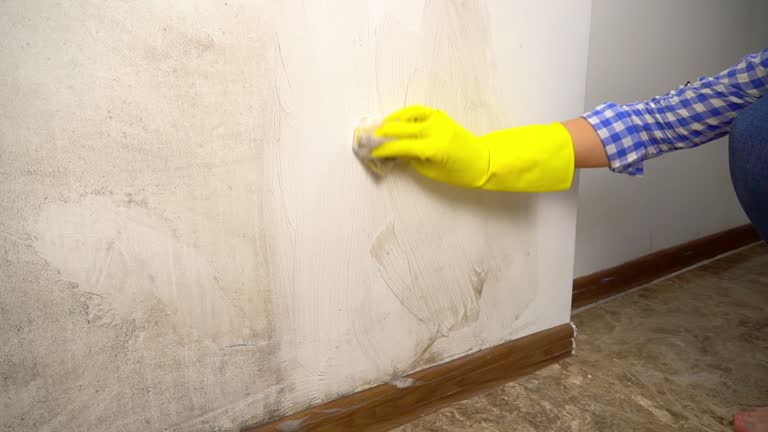 Best Mold Remediation for Healthcare Facilities  in Montverde, FL