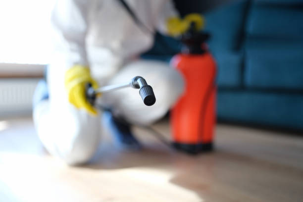 Best HVAC Mold Inspection and Cleaning  in Montverde, FL