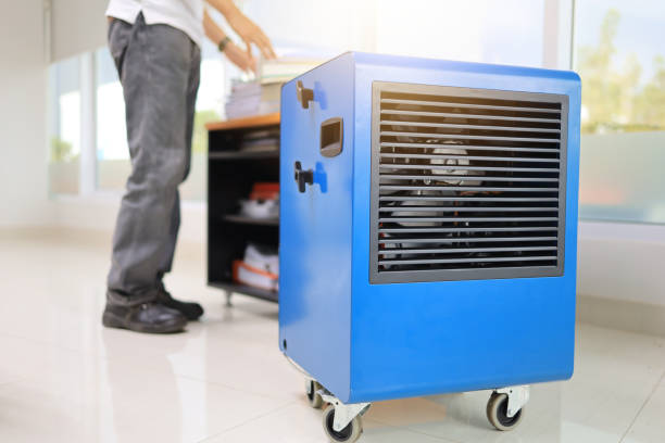 Best Black Mold Removal  in Montverde, FL