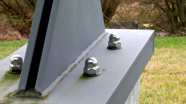 Best Comprehensive Air Testing for Mold Contaminants  in Montverde, FL